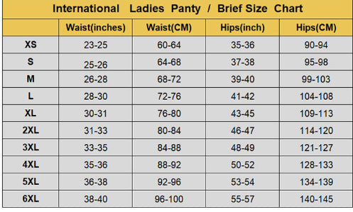 Lace 4-Layer Low-Rise Period Panties | Leakproof